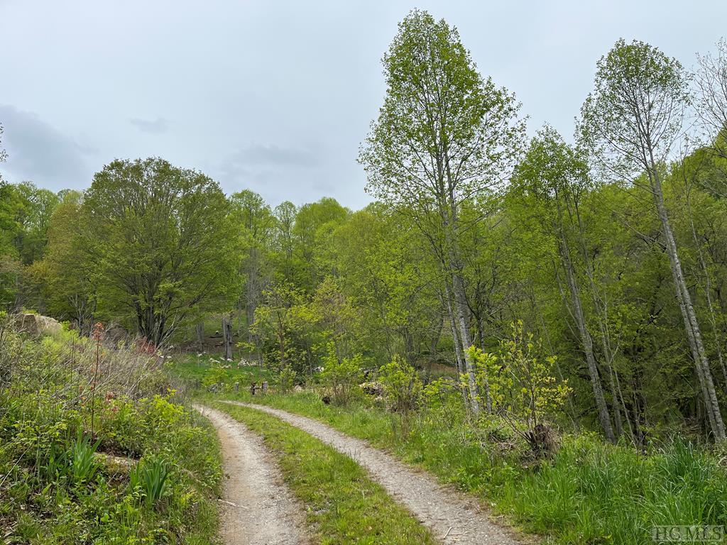 Tract 11 Double Springs Road, Cullowhee NC Real Estate Listing MLS