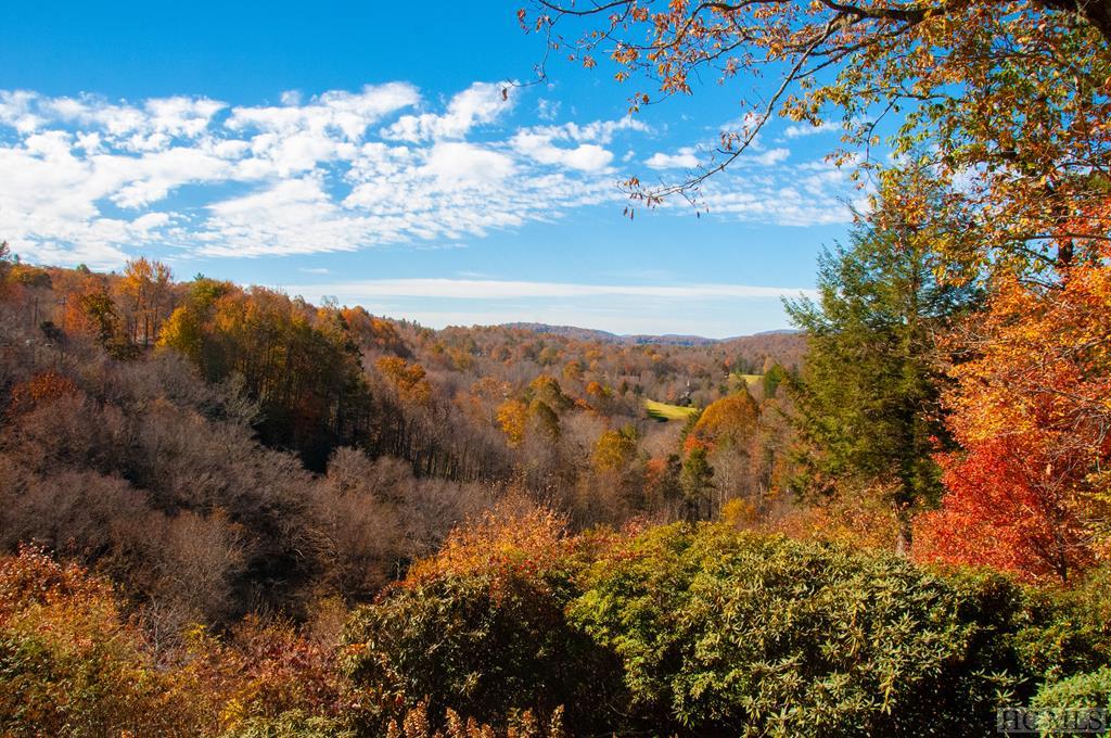 NC Homes for Sale in Wildcat Cliffs Country Club Silver Creek Real