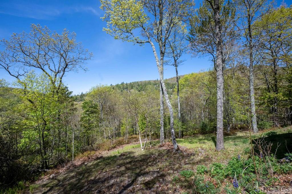 Bald Rock Sapphire Valley NC Homes For Sale Silver Creek Real Estate