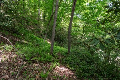 3674 Us 19 Marble NC 28905