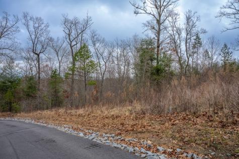Lot 63 Lake Wood Road Murphy NC 28906