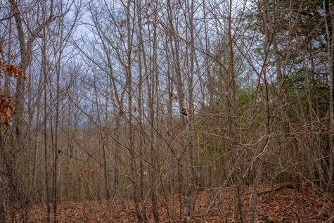 Lot 63 Lake Wood Road Murphy NC 28906