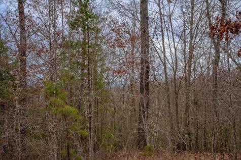 Lot 63 Lake Wood Road Murphy NC 28906