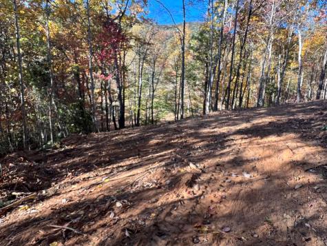 1 Bartin Ridge Murphy NC 28906