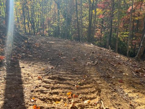 1 Bartin Ridge Murphy NC 28906