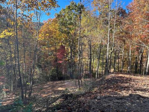 1 Bartin Ridge Murphy NC 28906