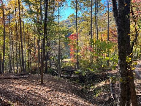 1 Bartin Ridge Murphy NC 28906