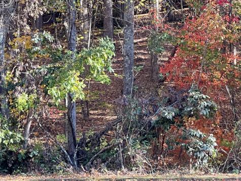 1 Bartin Ridge Murphy NC 28906