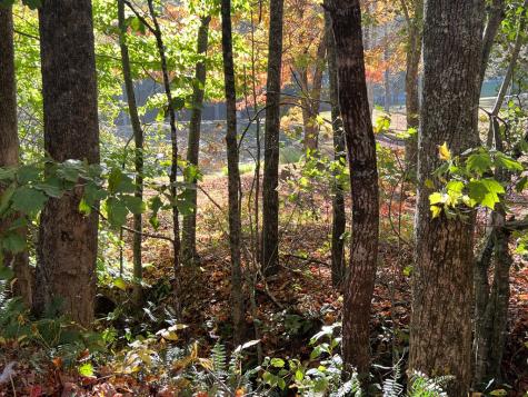 1 Bartin Ridge Murphy NC 28906