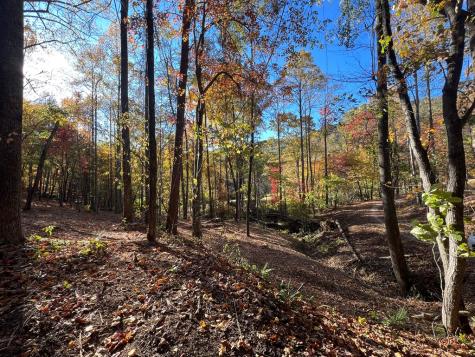 1 Bartin Ridge Murphy NC 28906