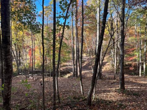 1 Bartin Ridge Murphy NC 28906