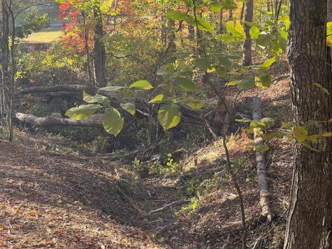 1 Bartin Ridge Murphy NC 28906