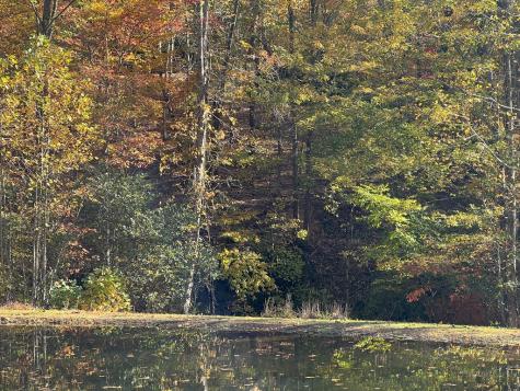 1 Bartin Ridge Murphy NC 28906