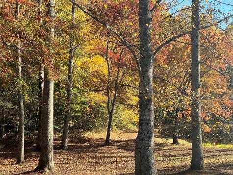 1 Bartin Ridge Murphy NC 28906