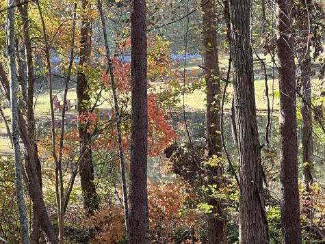 1 Bartin Ridge Murphy NC 28906