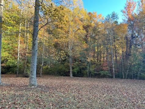 1 Bartin Ridge Murphy NC 28906