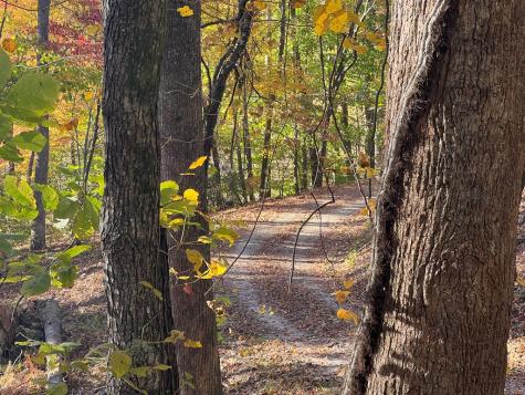 1 Bartin Ridge Murphy NC 28906