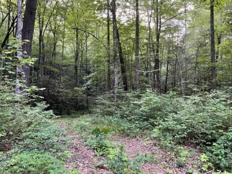 000 Chestnut Oaks Andrews NC 28901