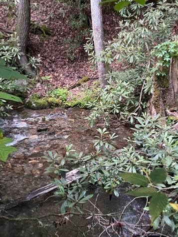 000 Chestnut Oaks Andrews NC 28901