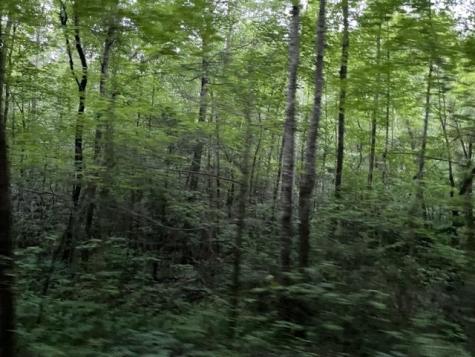 000 Chestnut Oaks Andrews NC 28901