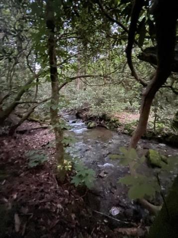 000 Chestnut Oaks Andrews NC 28901