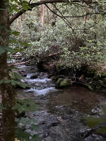 000 Chestnut Oaks Andrews NC 28901