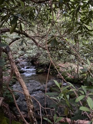 000 Chestnut Oaks Andrews NC 28901