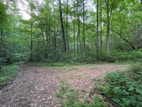 000 Chestnut Oaks Andrews NC 28901