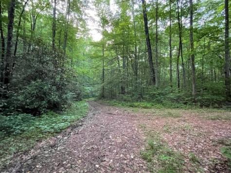 000 Chestnut Oaks Andrews NC 28901