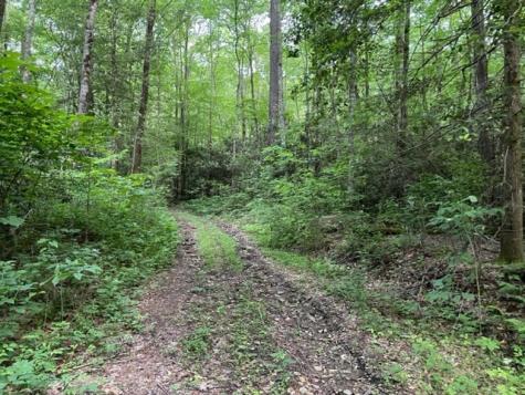 000 Chestnut Oaks Andrews NC 28901