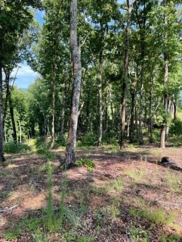 Lt 119 Highland Park Blairsville GA 30512