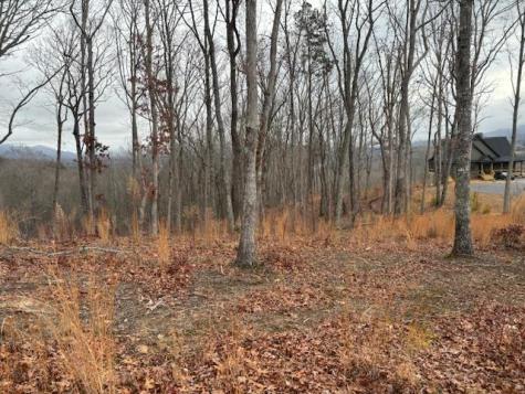 Lt 119 Highland Park Blairsville GA 30512