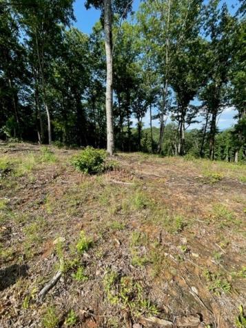 Lt 119 Highland Park Blairsville GA 30512