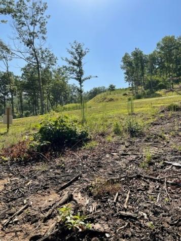 Lt 119 Highland Park Blairsville GA 30512