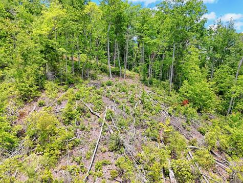 Lot 28 Bryson Creek Murphy NC 28906