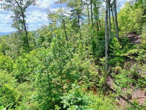 Lot 28 Bryson Creek Murphy NC 28906