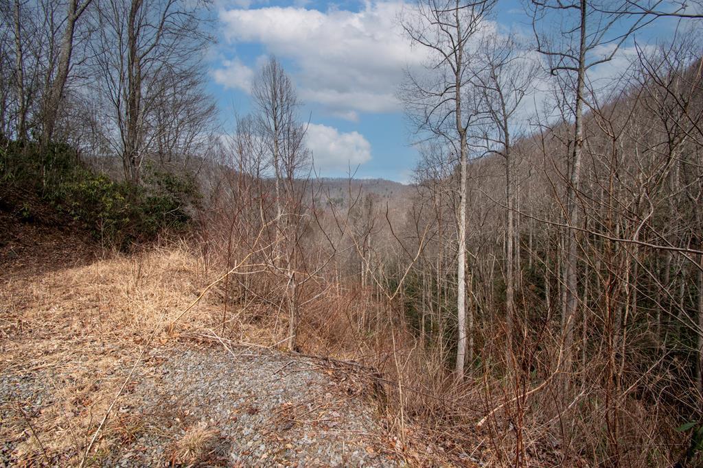 00 Walnut Cove Branch Robbinsville NC 28771