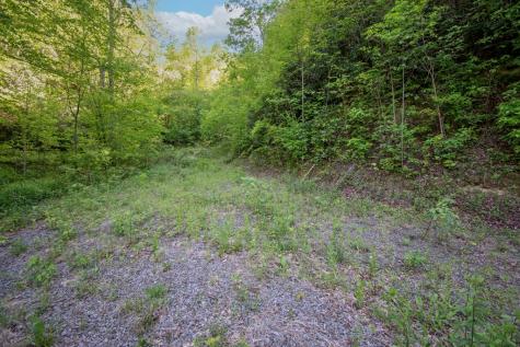 00 Walnut Cove Branch Robbinsville NC 28771