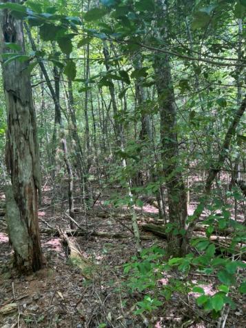 Lot 6&7 Donley Road Murphy NC 28906