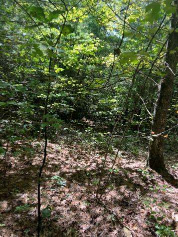 Lot 6&7 Donley Road Murphy NC 28906