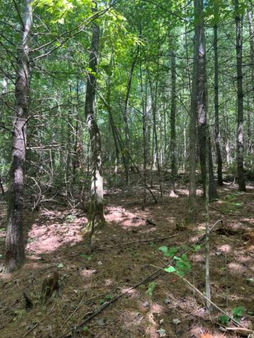 Lot 6&7 Donley Road Murphy NC 28906