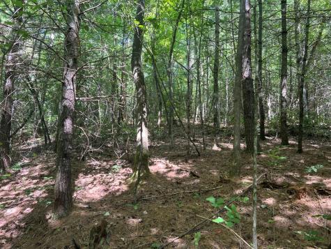 Lot 6&7 Donley Road Murphy NC 28906