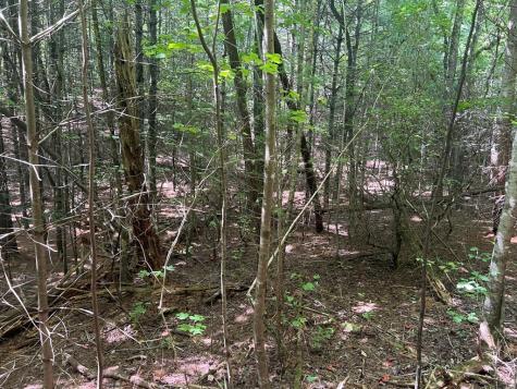 Lot 6&7 Donley Road Murphy NC 28906