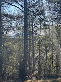 00 Sugar Maple Road Murphy NC 28906