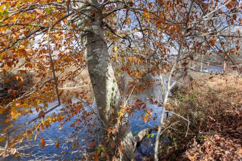 00 Leaping Trout Marble NC 28905