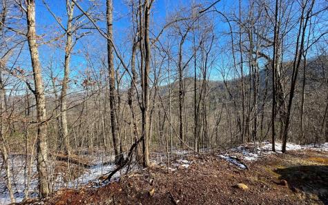 Lot 34 The Overlook At Young Harris Young Harris GA 30582