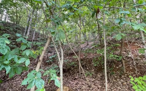 Lot 34 The Overlook At Young Harris Young Harris GA 30582