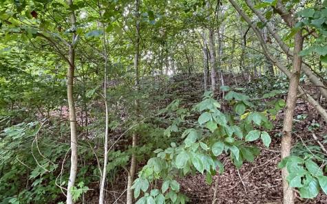 Lot 34 The Overlook At Young Harris Young Harris GA 30582