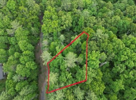 000 Dogwood Trail Robbinsville NC 28771