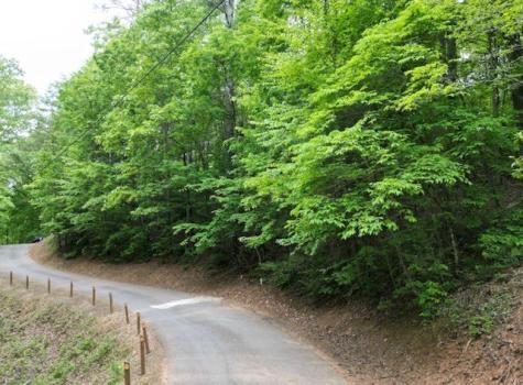 000 Dogwood Trail Robbinsville NC 28771